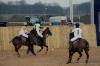 Oxford Polo 2022_12_11 0100